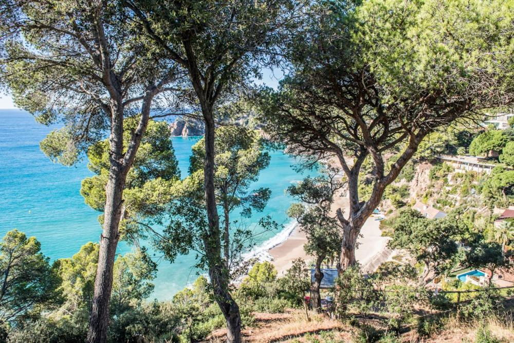 Camping Sunissim Cala Llevado 4 By Locatour Hotel Tossa de Mar Exterior photo